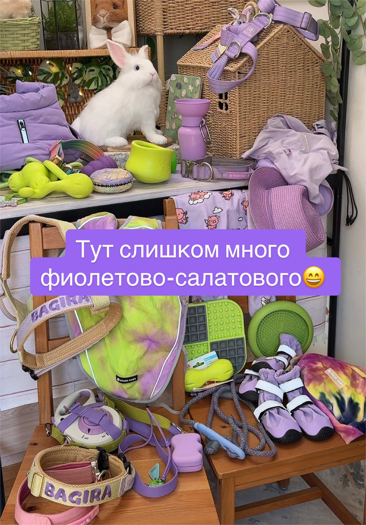 @Диана в Шерсти💜