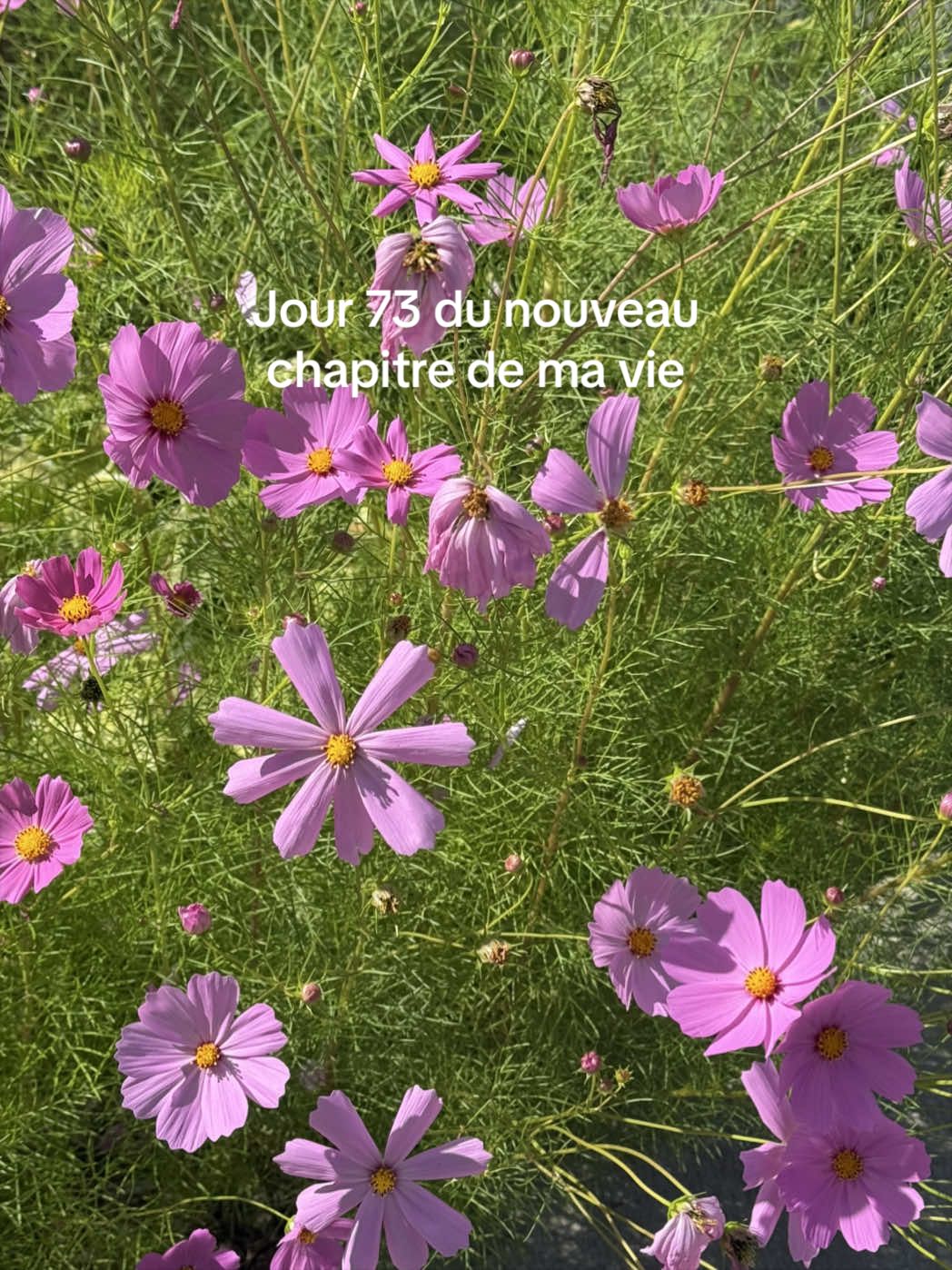 @fromparis_to