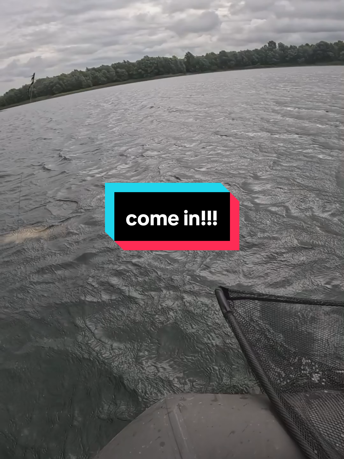@carp_and_fun