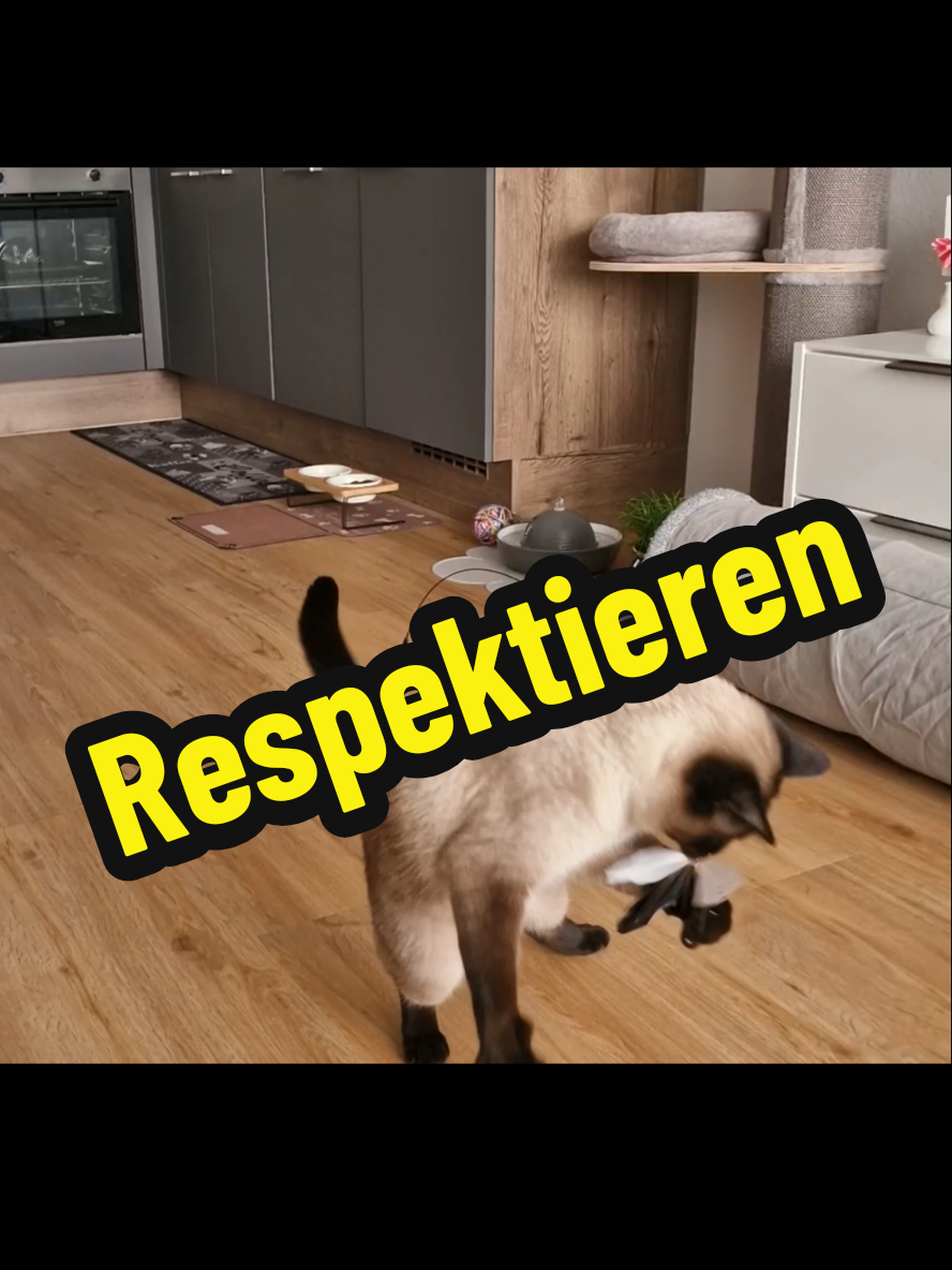 @gp