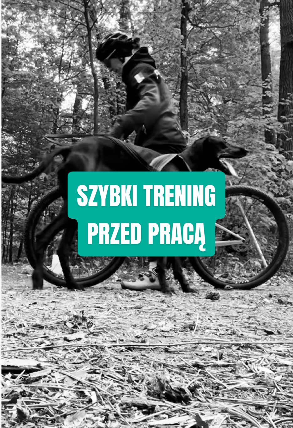 @Agnieszka Ignaszak bikejoring