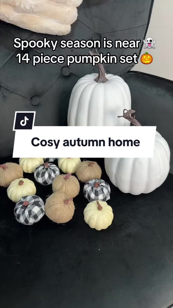 @Shaz finds 🛍️
