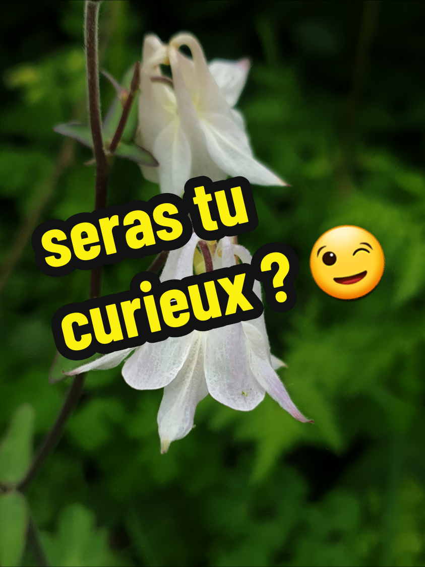 @NATURAMATERCREA