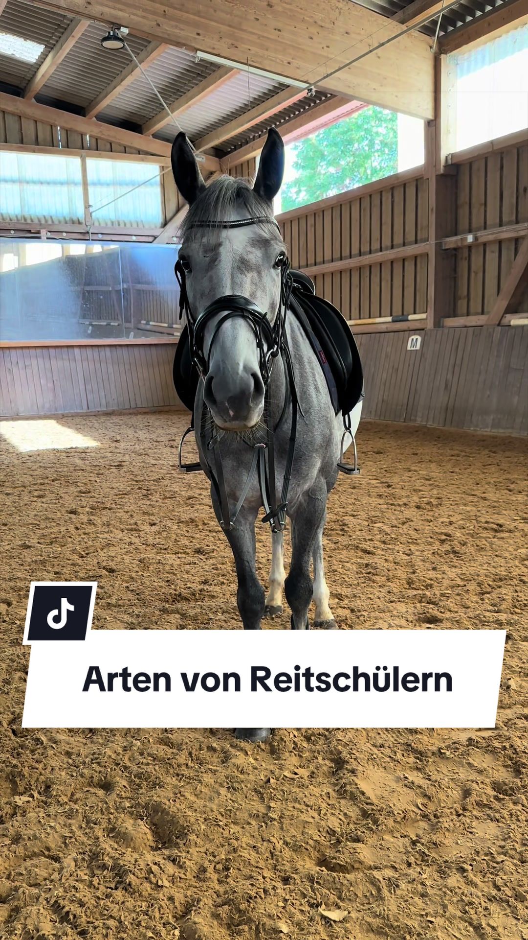 @Sophia • SL Reitschule