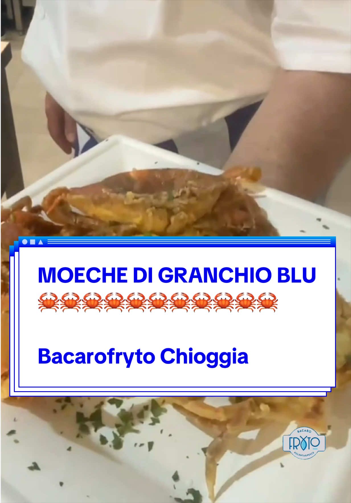 @BacaroFryto