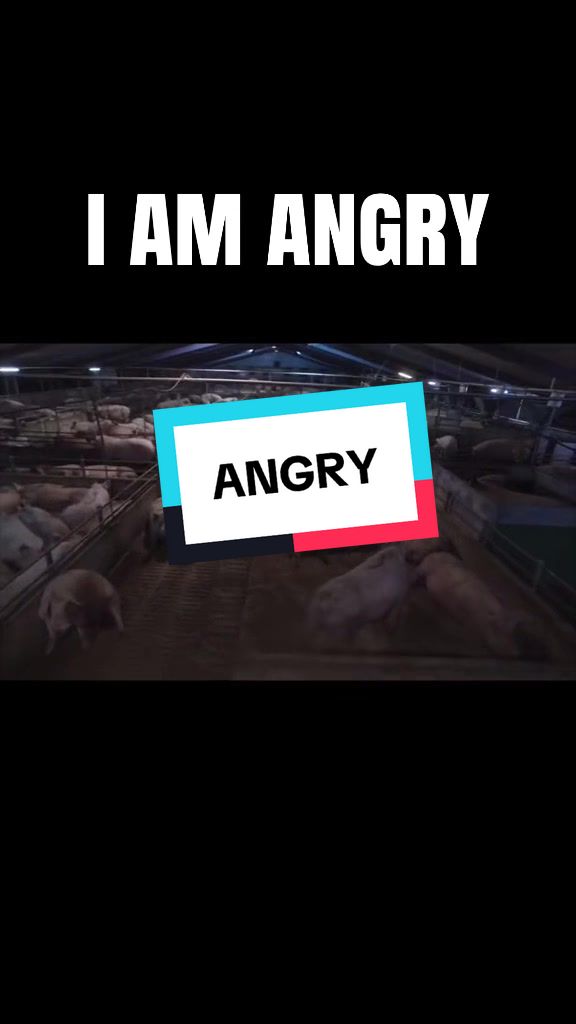 @vegandesign