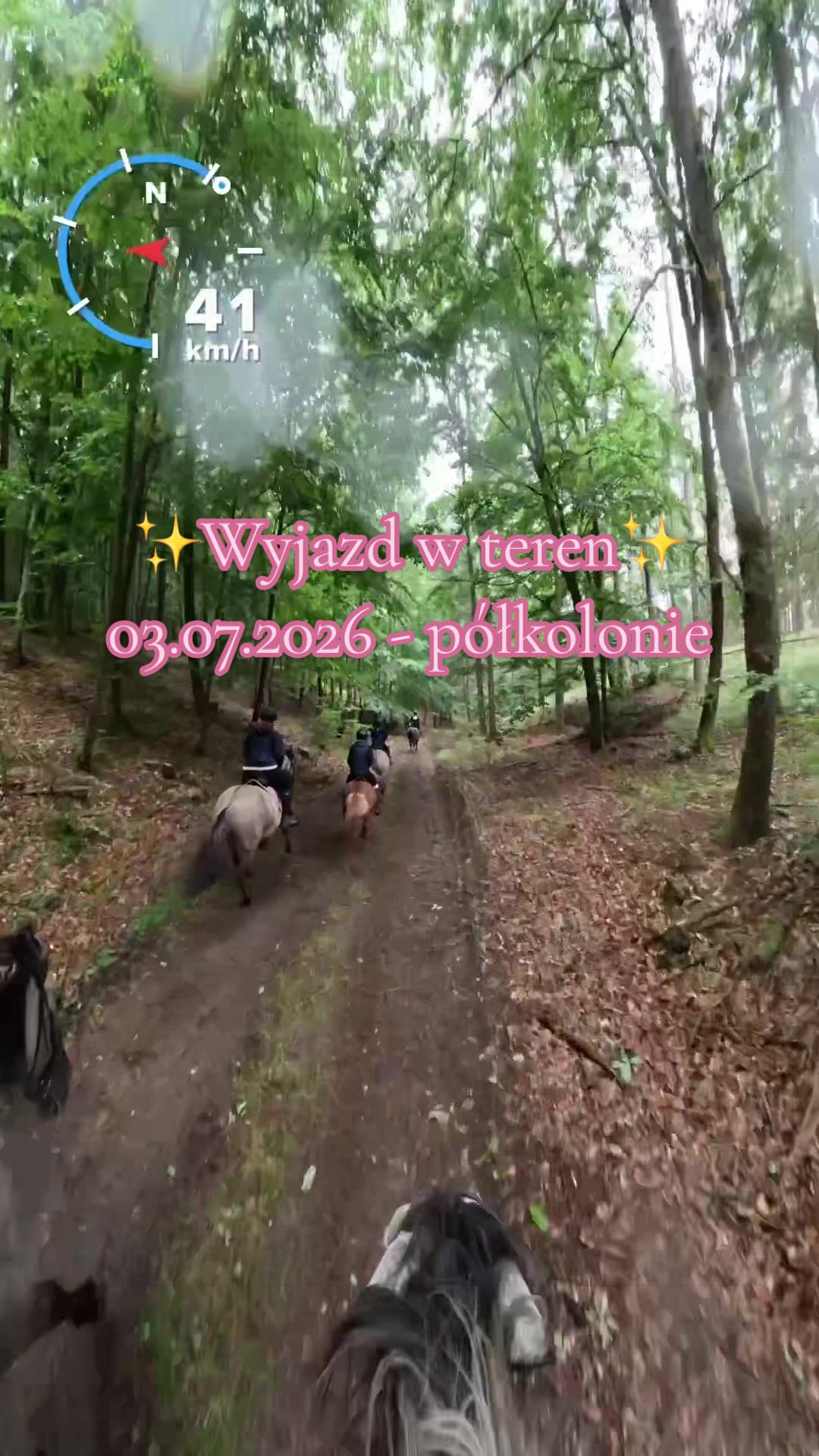 @Stajnia Miejsce Rozwoju