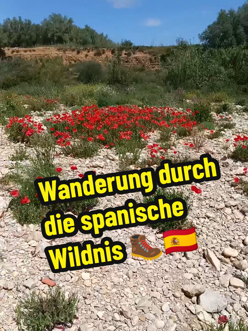 @berndout