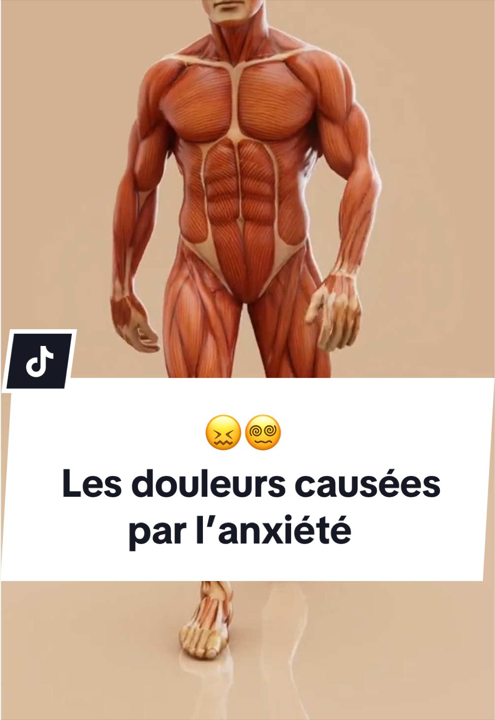 @Arthur Varin