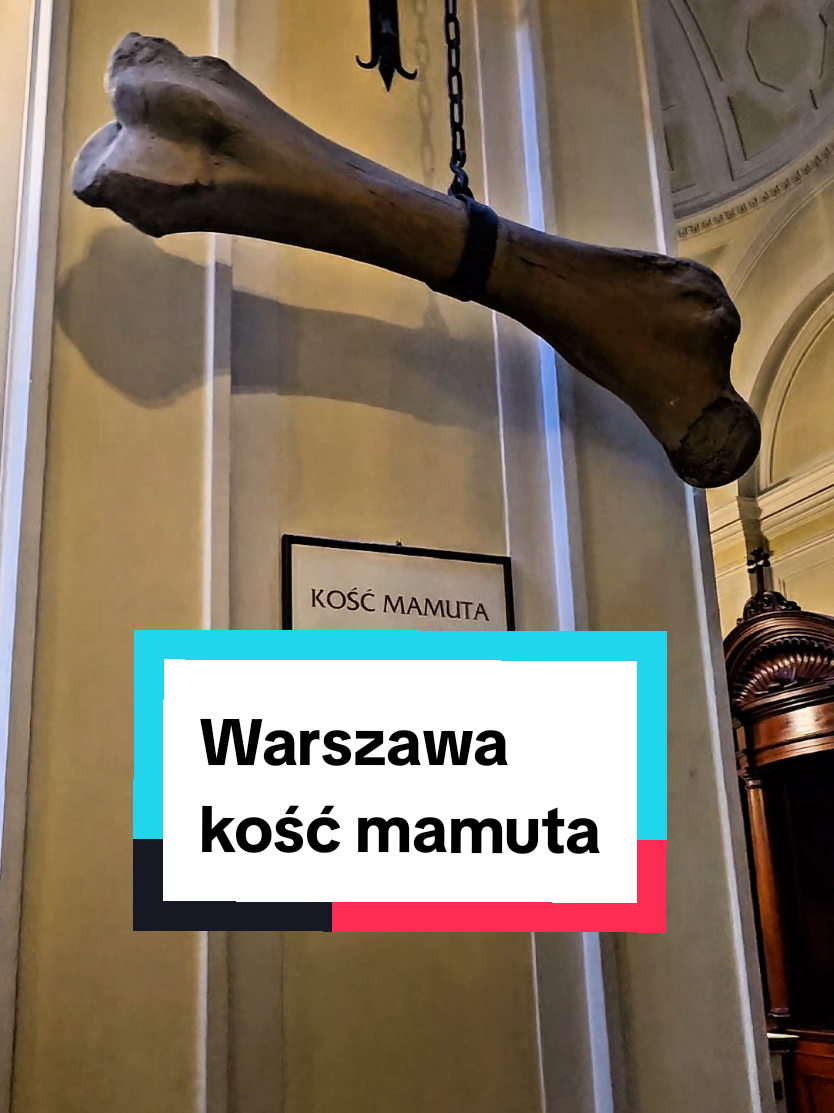@Cel w podr&oacute;ży