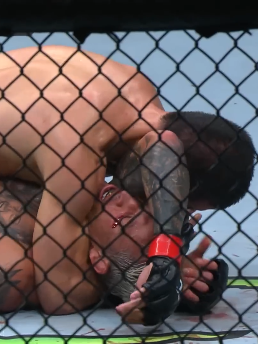@Bahadrozenmma
