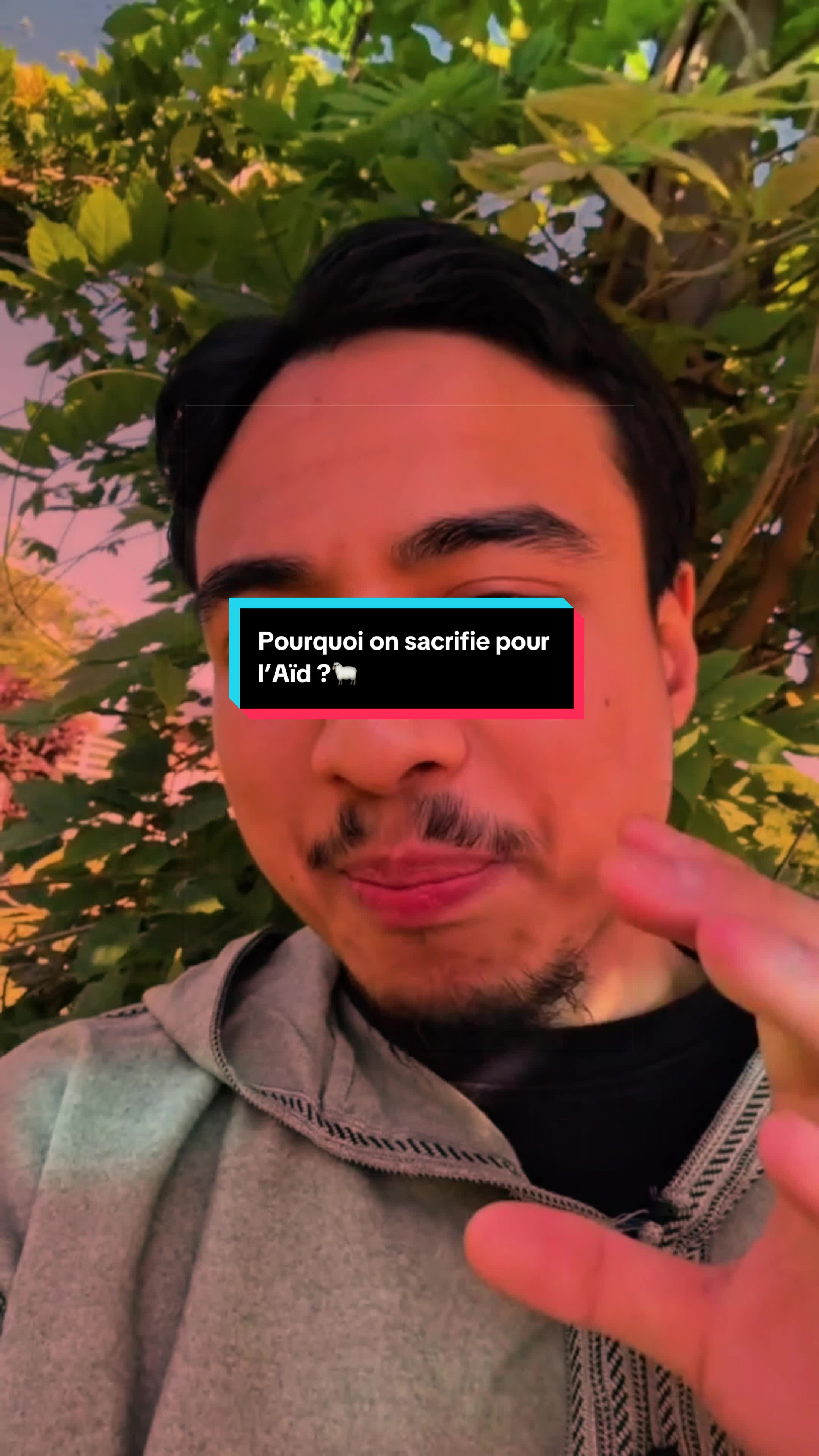 @Yanis