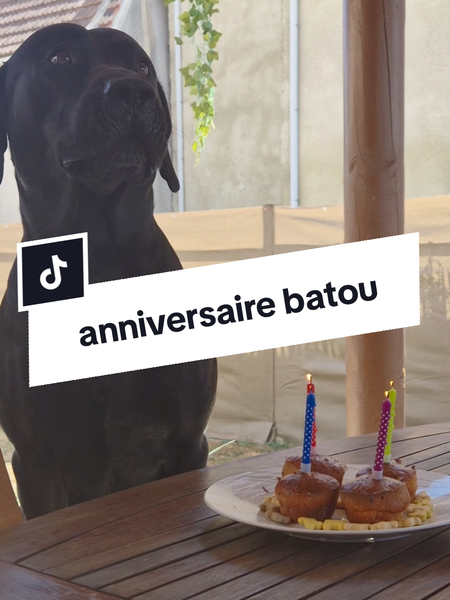 @Battman Batou