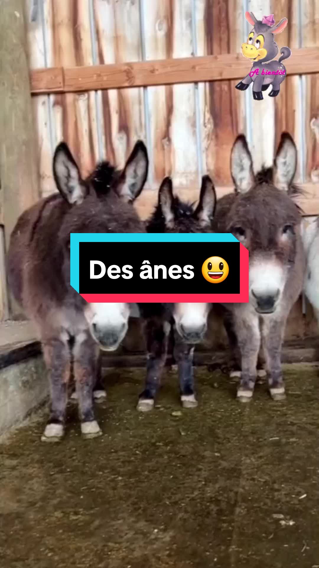 @𝑺𝒕𝒆𝒑𝒉 ✨