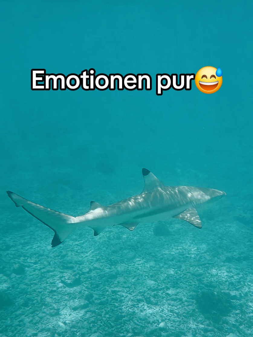 @ℝ𝕠𝕞𝕒𝕟𝕥𝕚𝕜🫶