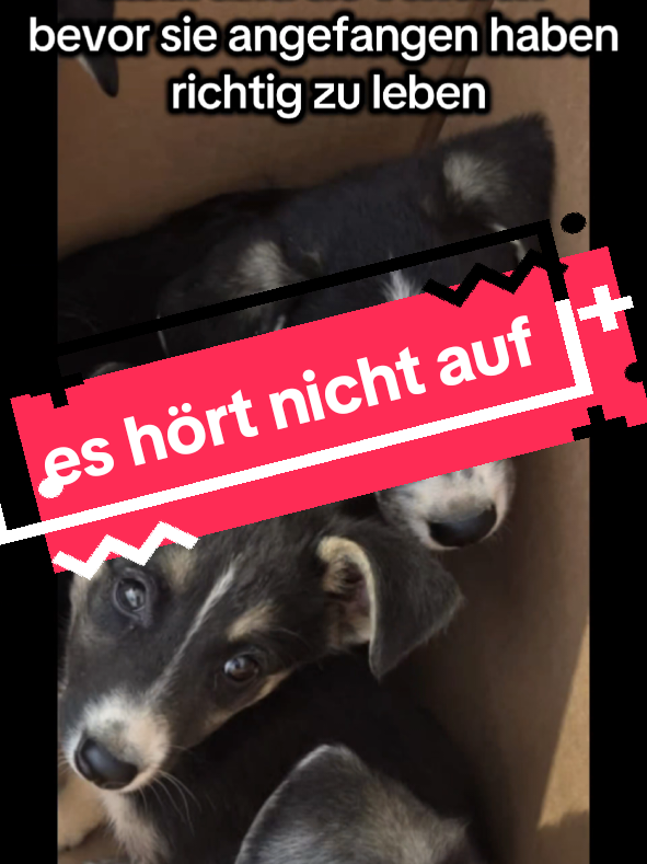 @Sevi