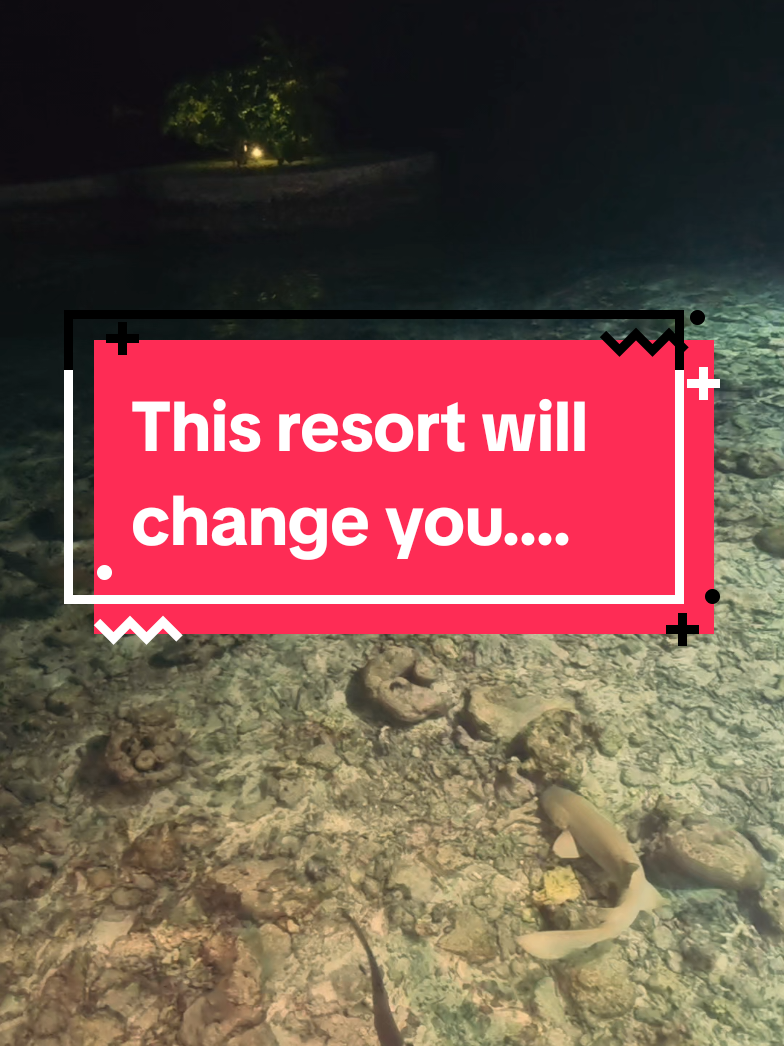 @Vix GenX - Travel Agent ✈️