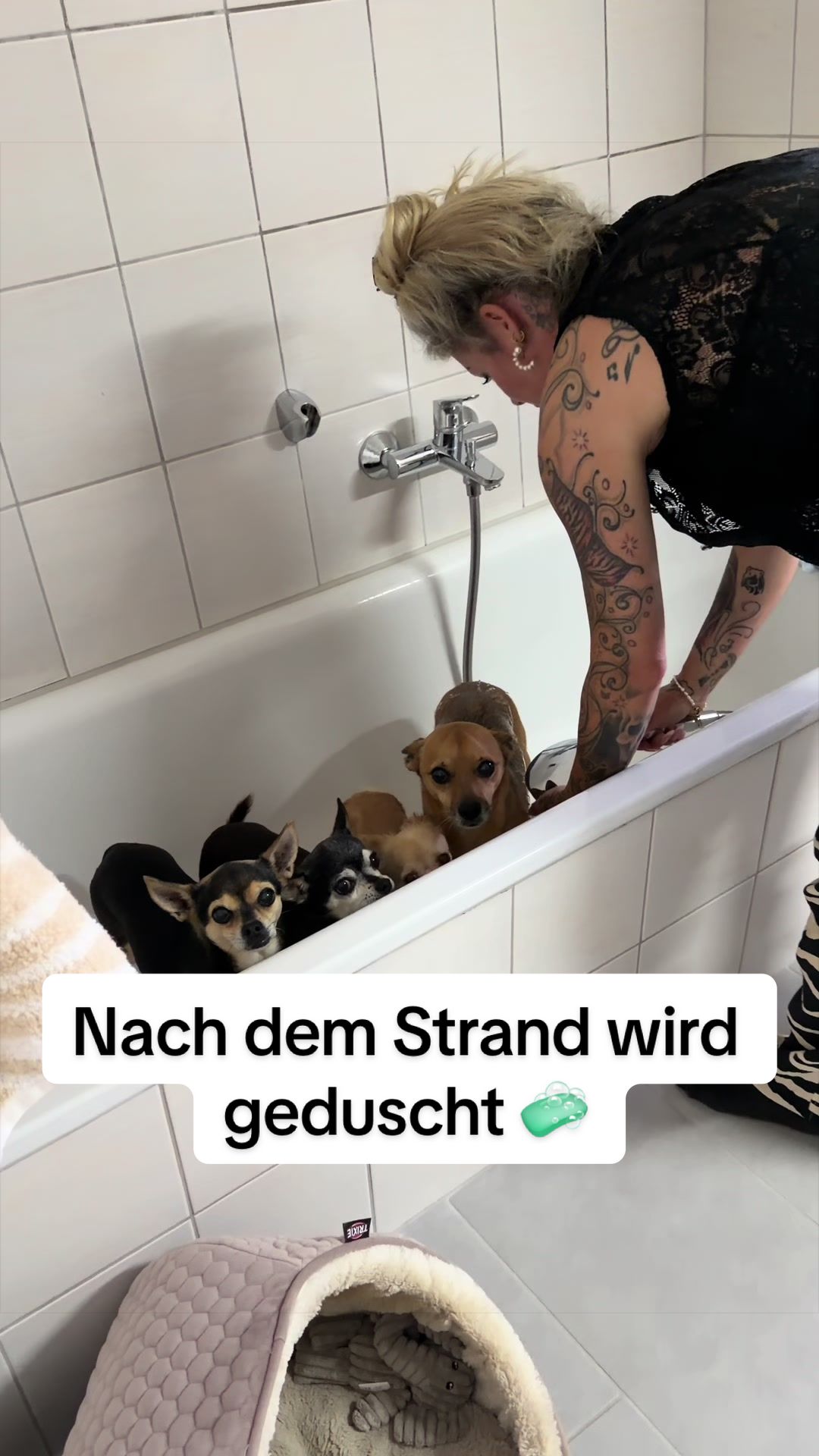 @Jezz Groß