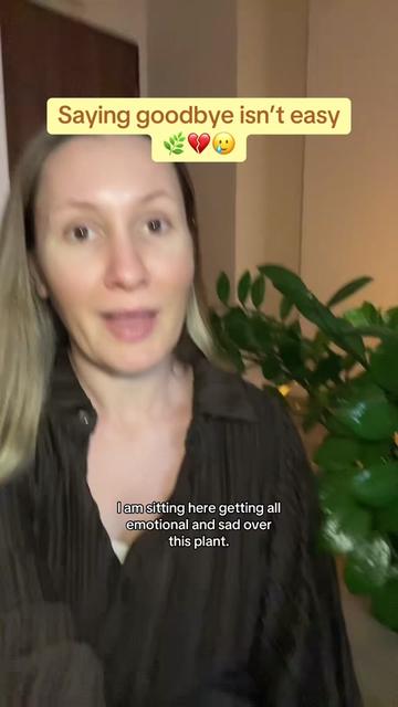 @Dara