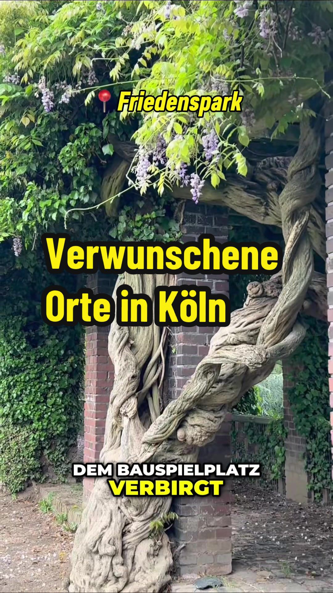@Mit Vergnügen Köln