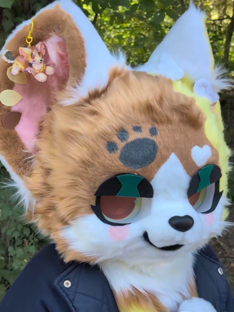 @Psychedelipup