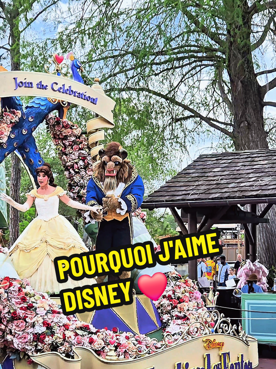 @Disneyparcs Hervé