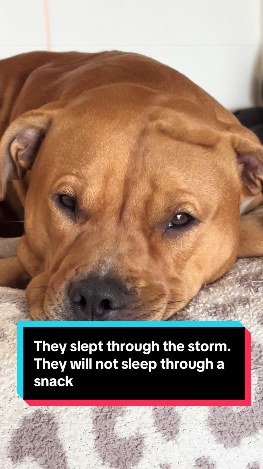 @Kaja & Macho 🥰
