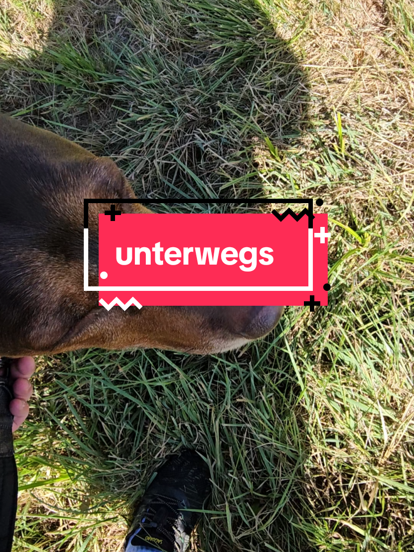 @Paddy und Sally