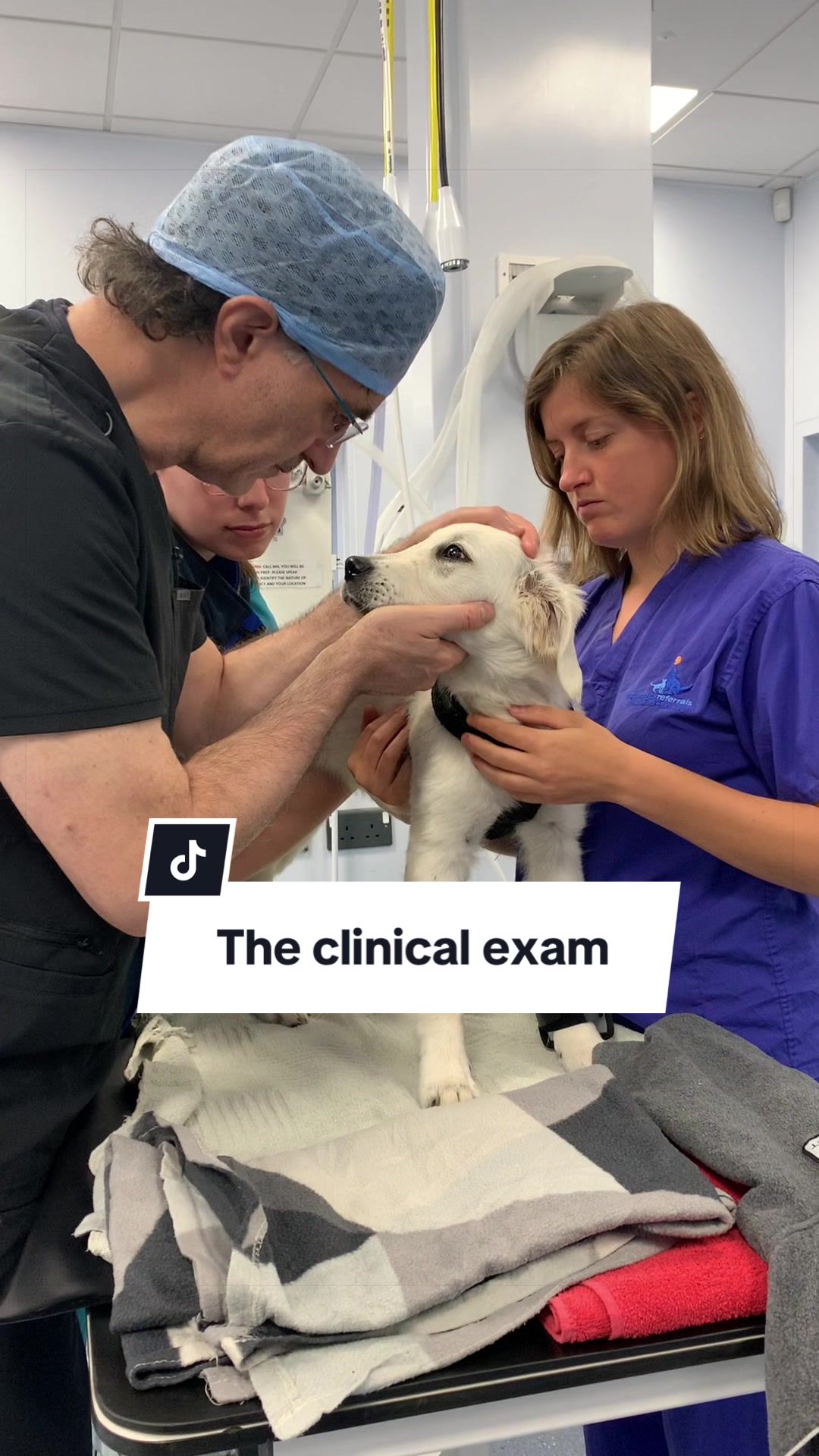 @profnoelfitzpatrick