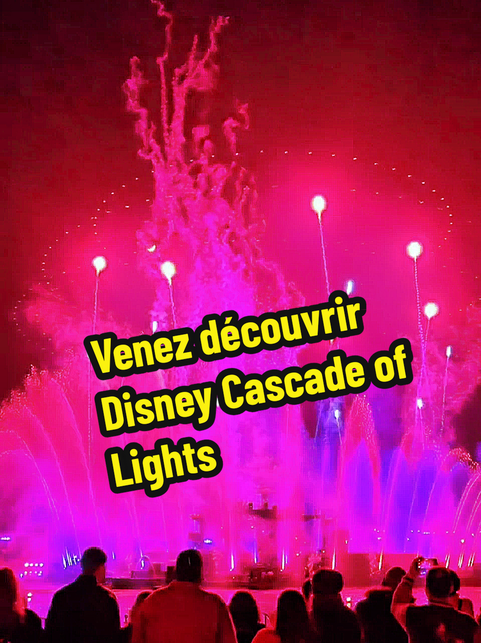 @Disneyparcs Hervé