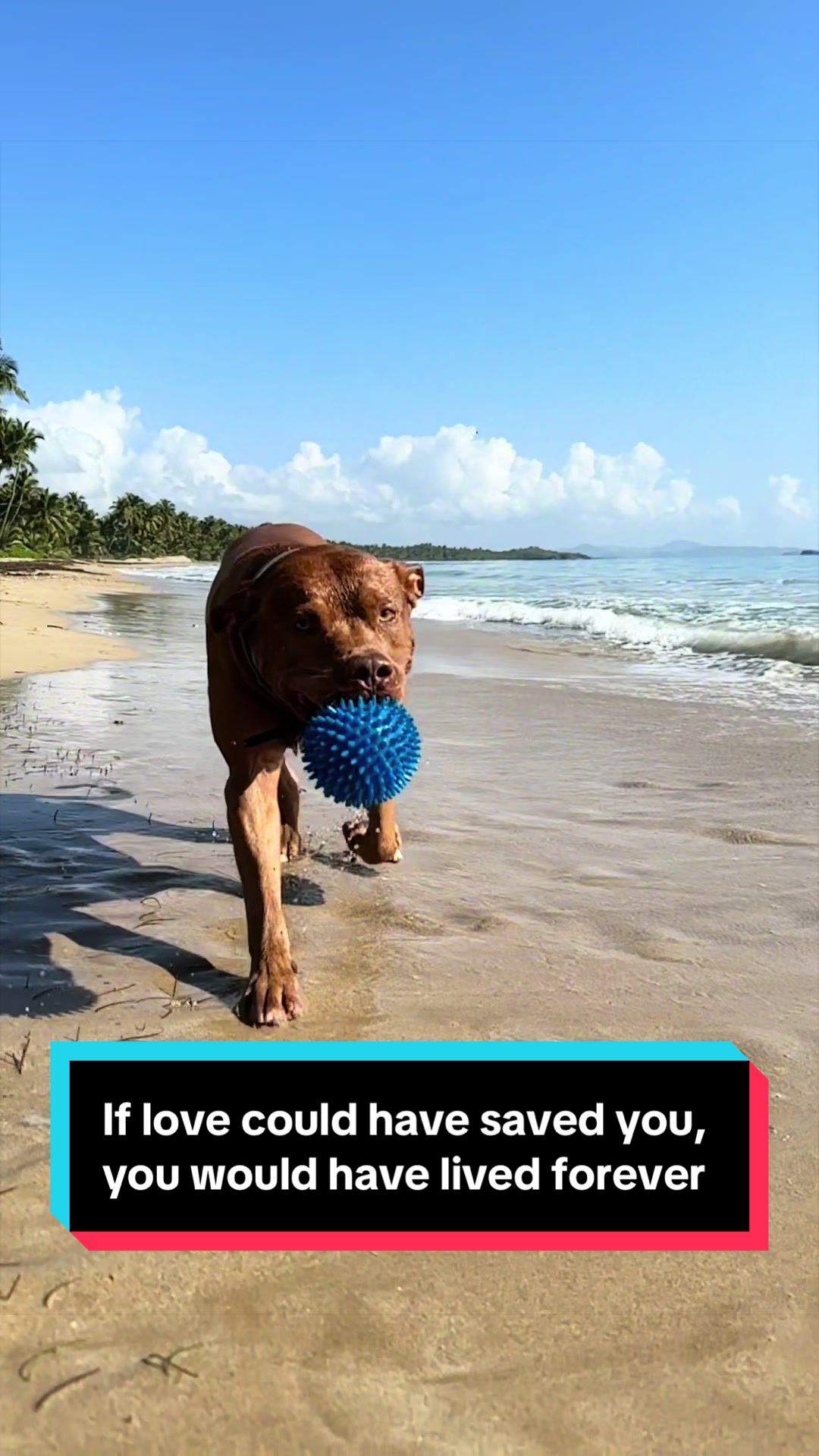 @Kaja & Macho 🥰