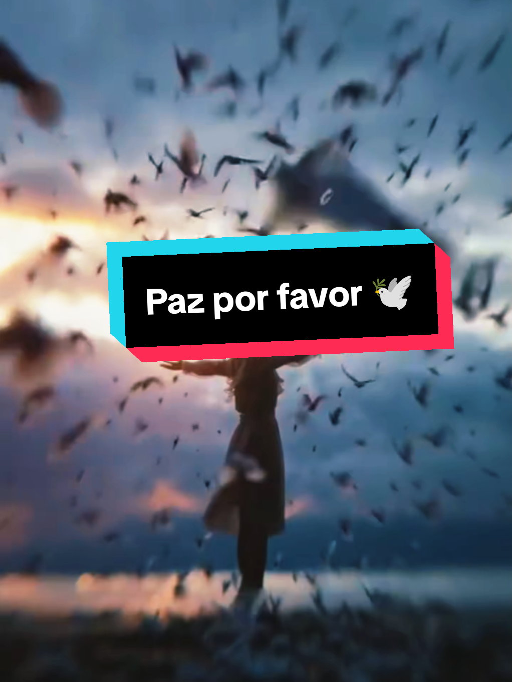 @(Tuchinha)