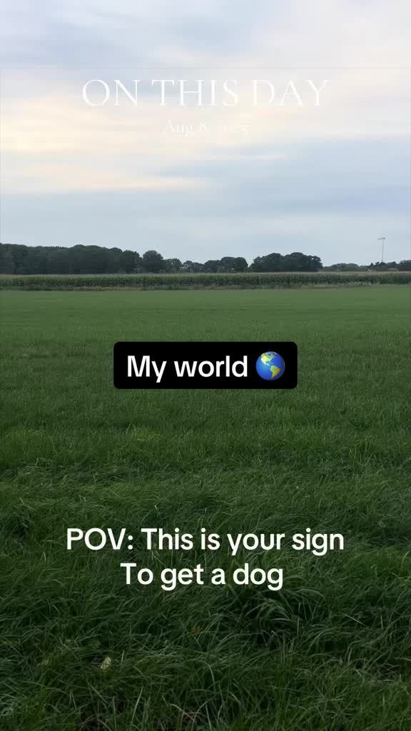 @Zoe_jack_charlie