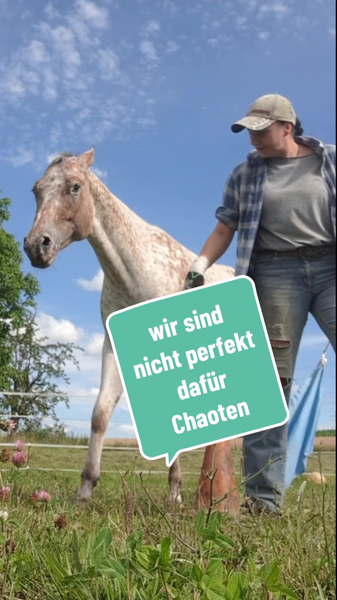@Farbklecks Pferde