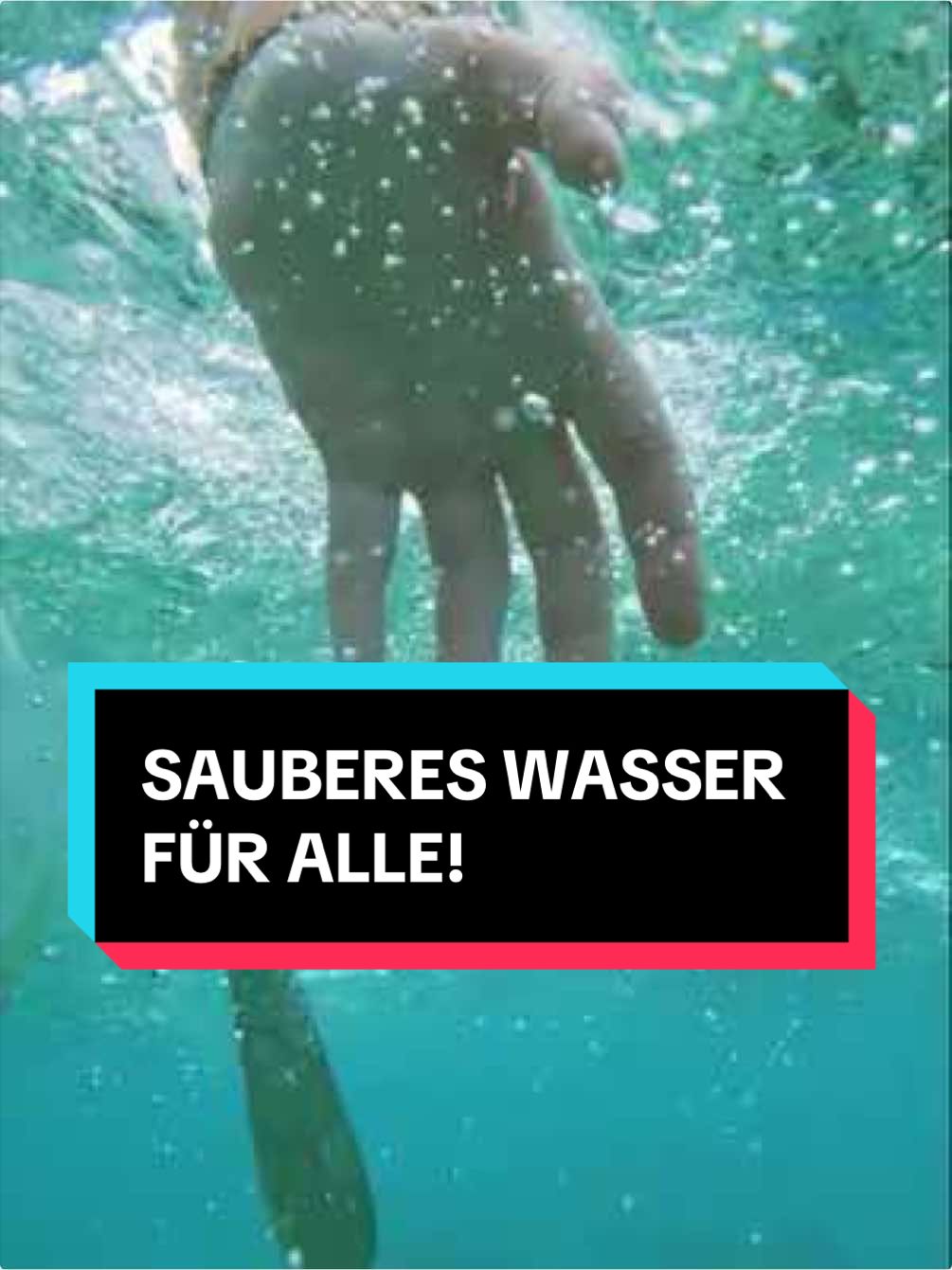 @Gr&uuml;ne im Bundestag