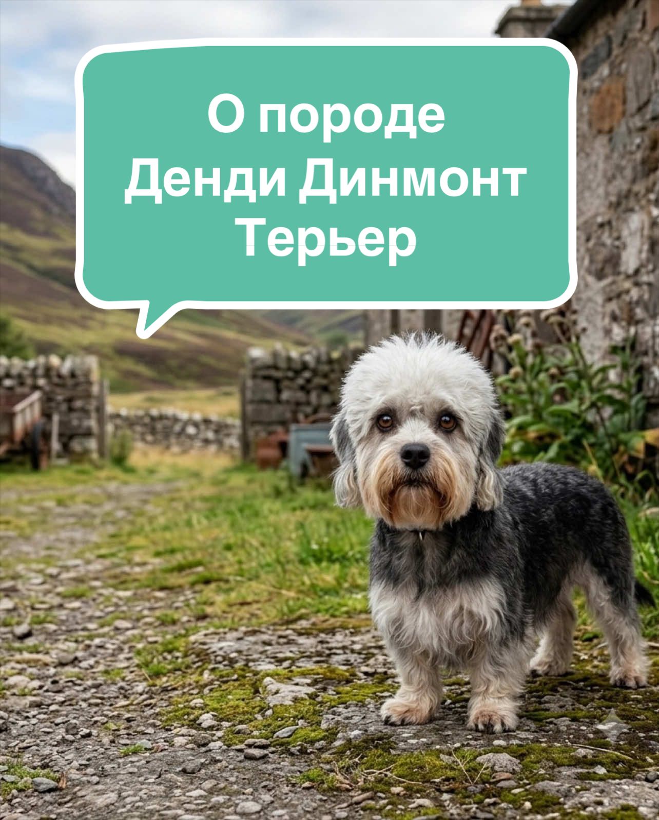 @Анастасия Ткачук | Кинолог