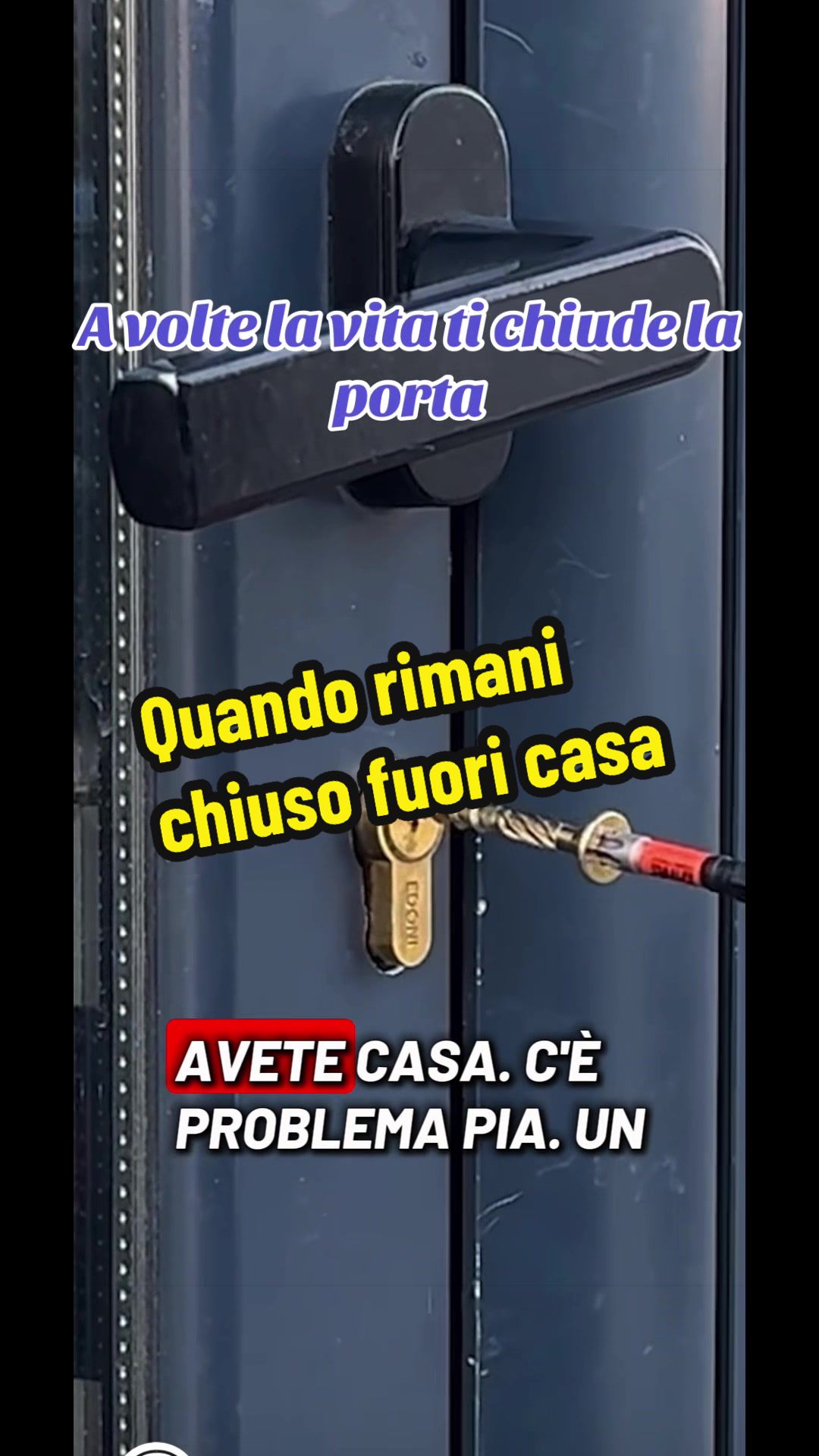 @Alessandro Cuomo ♌️