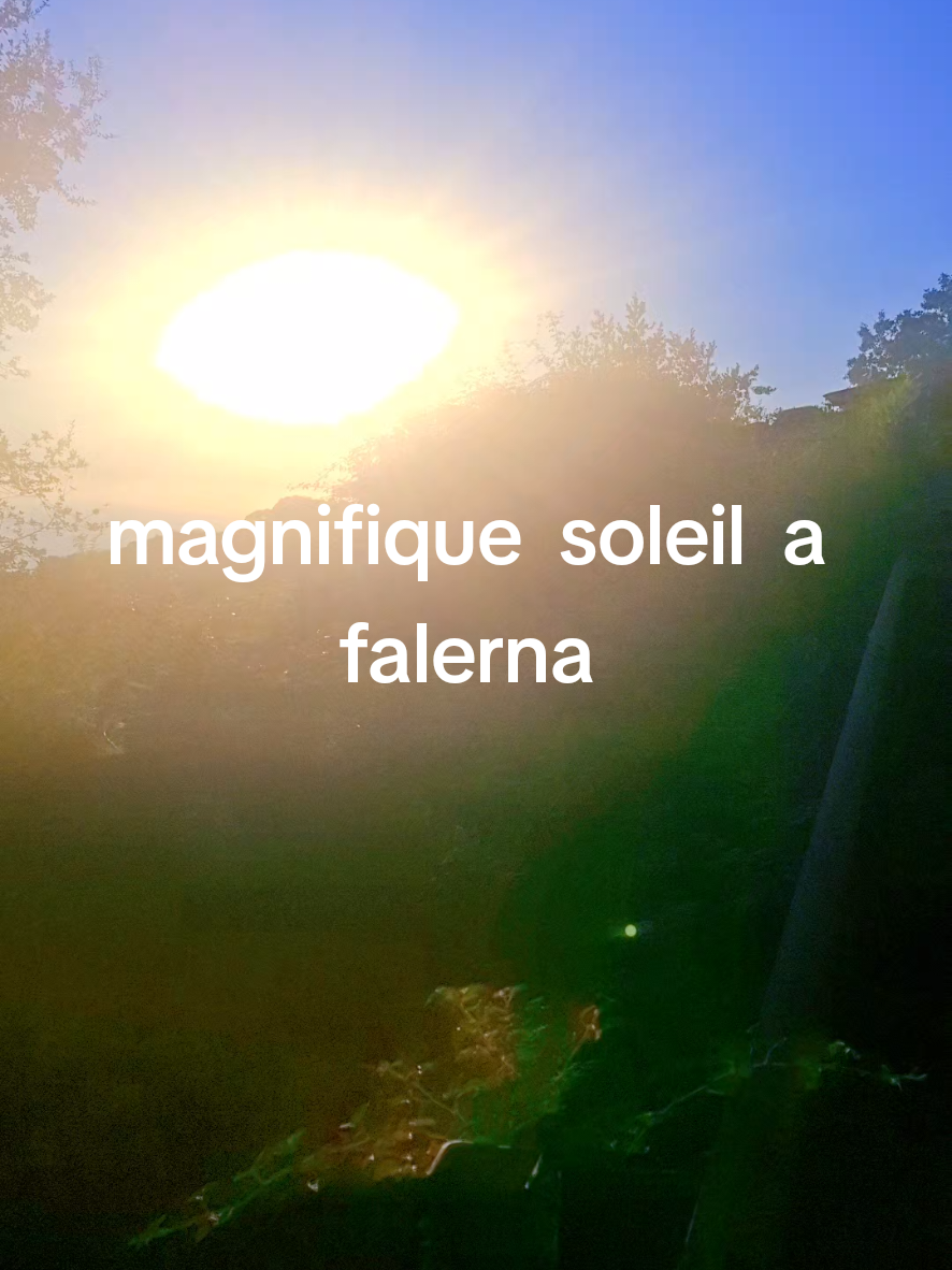 @falerna