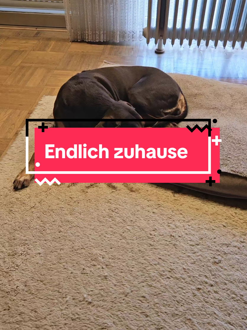 @Paddy und Sally