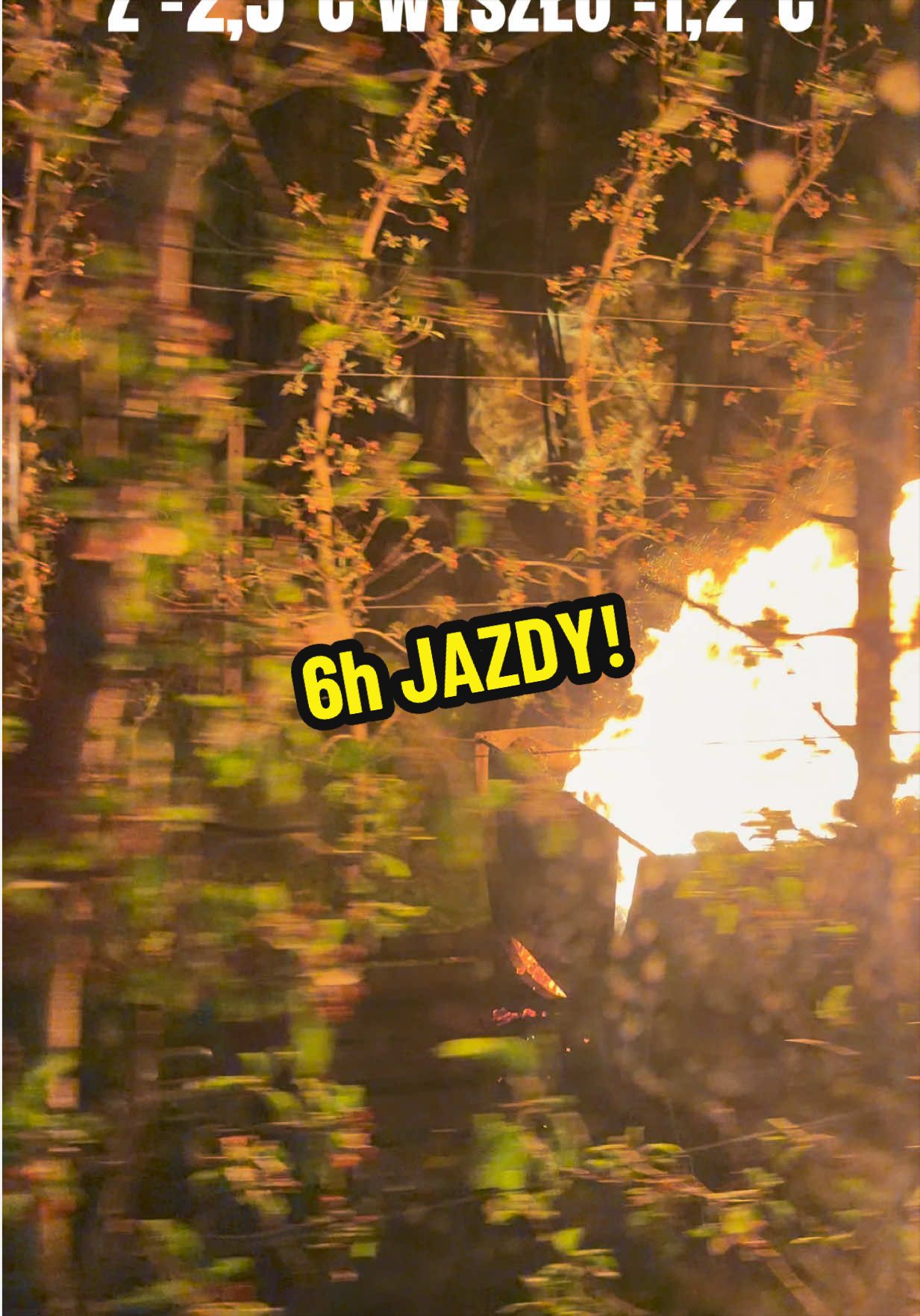 @Sady Puczyński