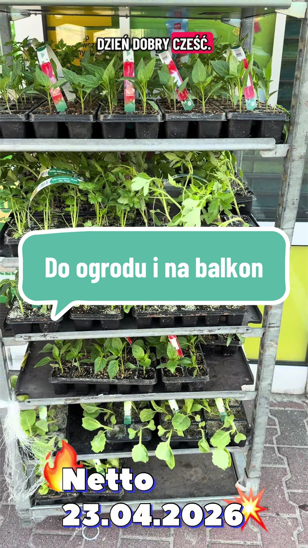 @maciej.plants
