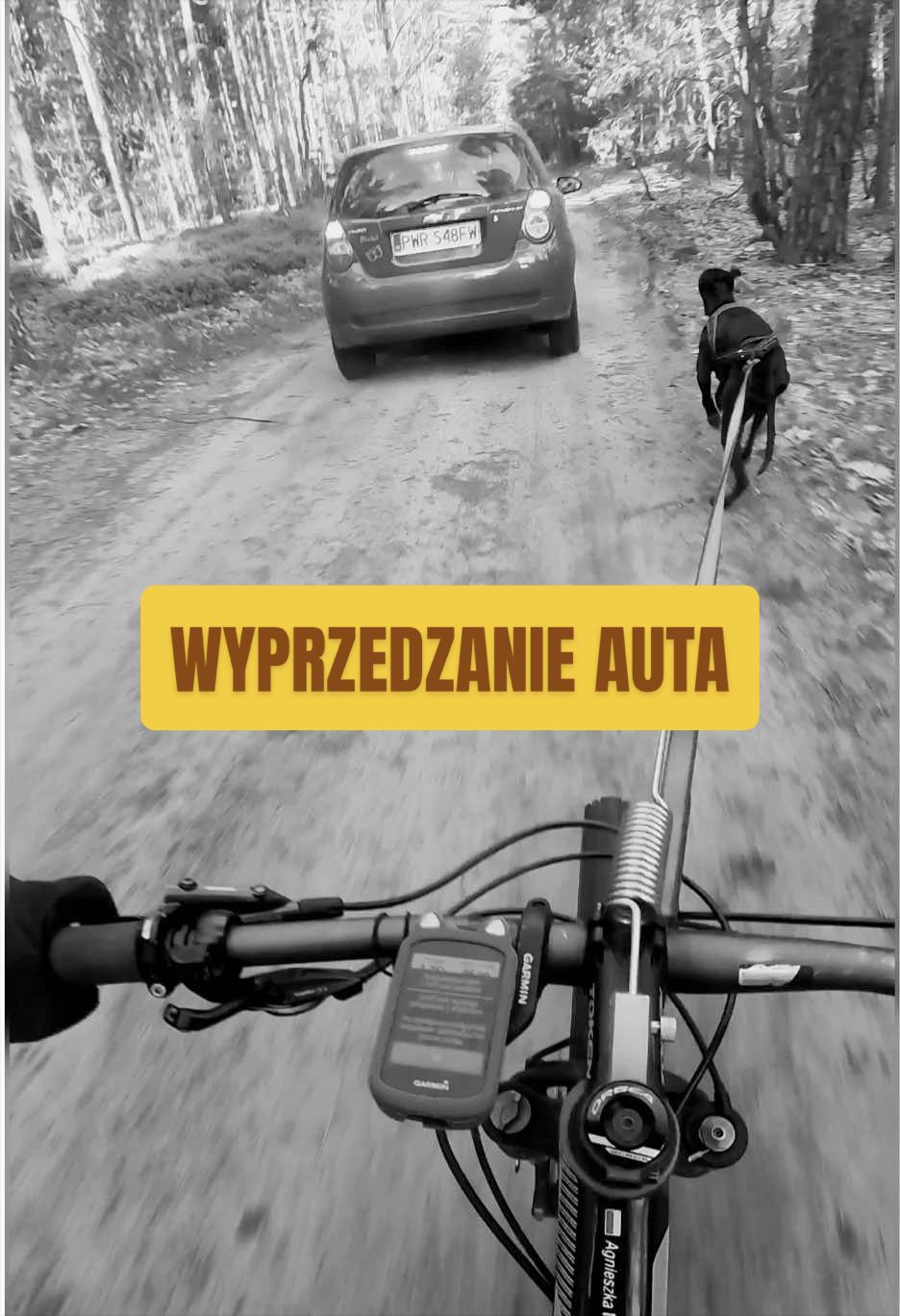 @Agnieszka Ignaszak bikejoring