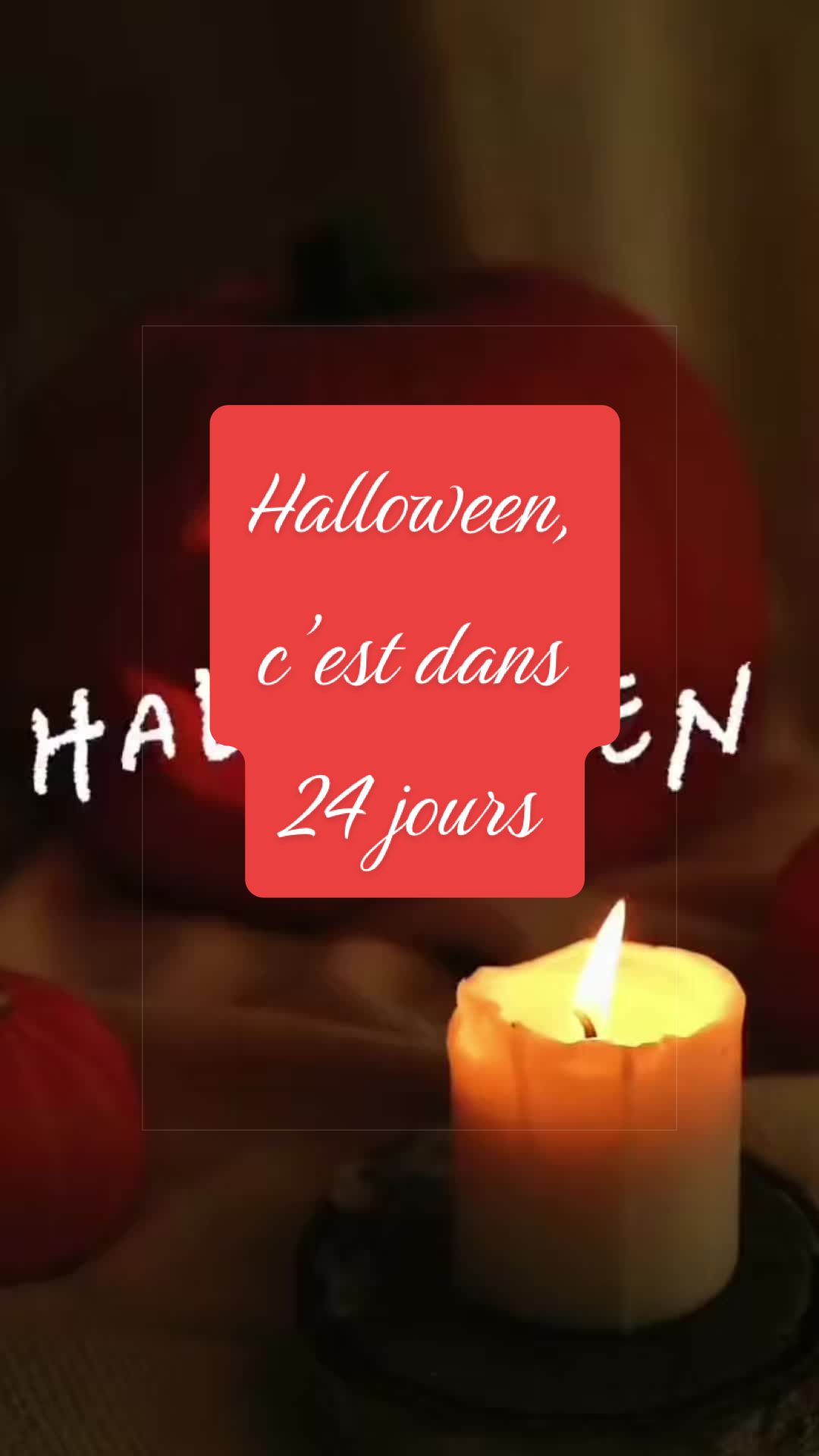@AngelVodkaBoy🐻🇧🇪