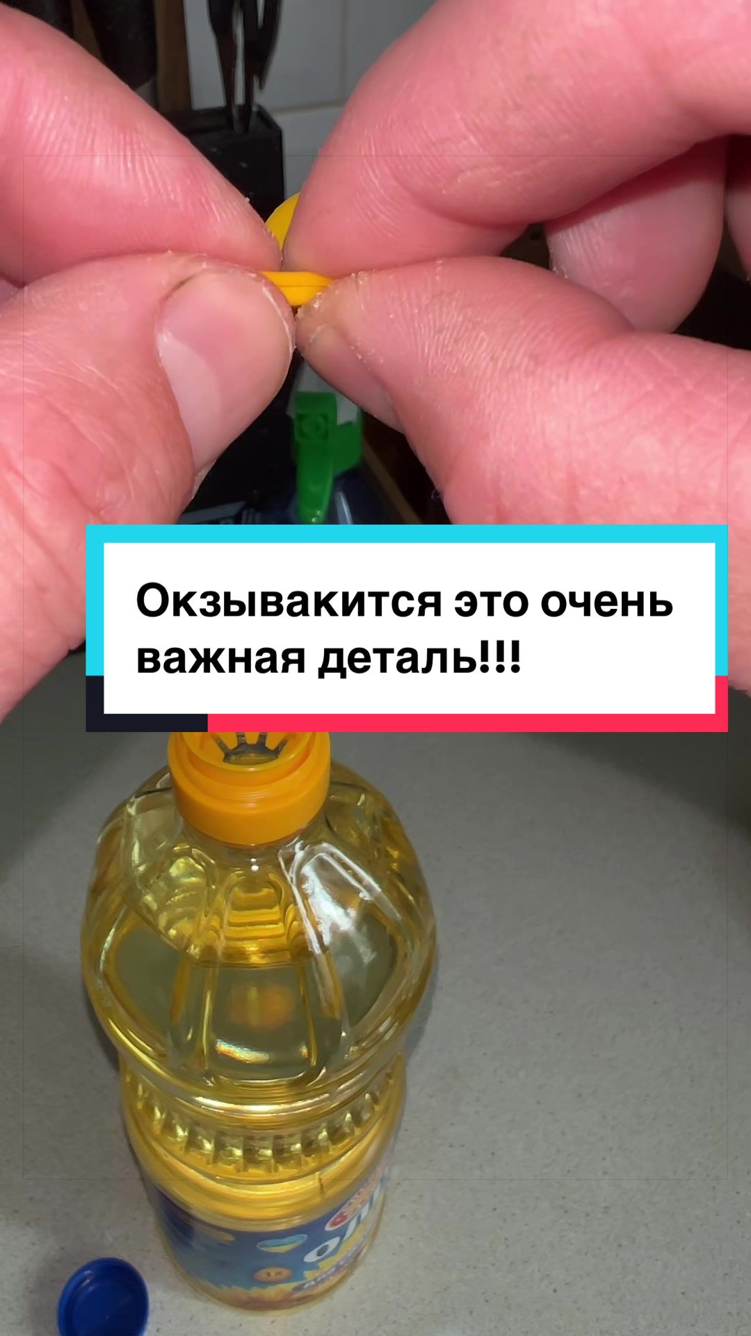 @laifhak_mozgi