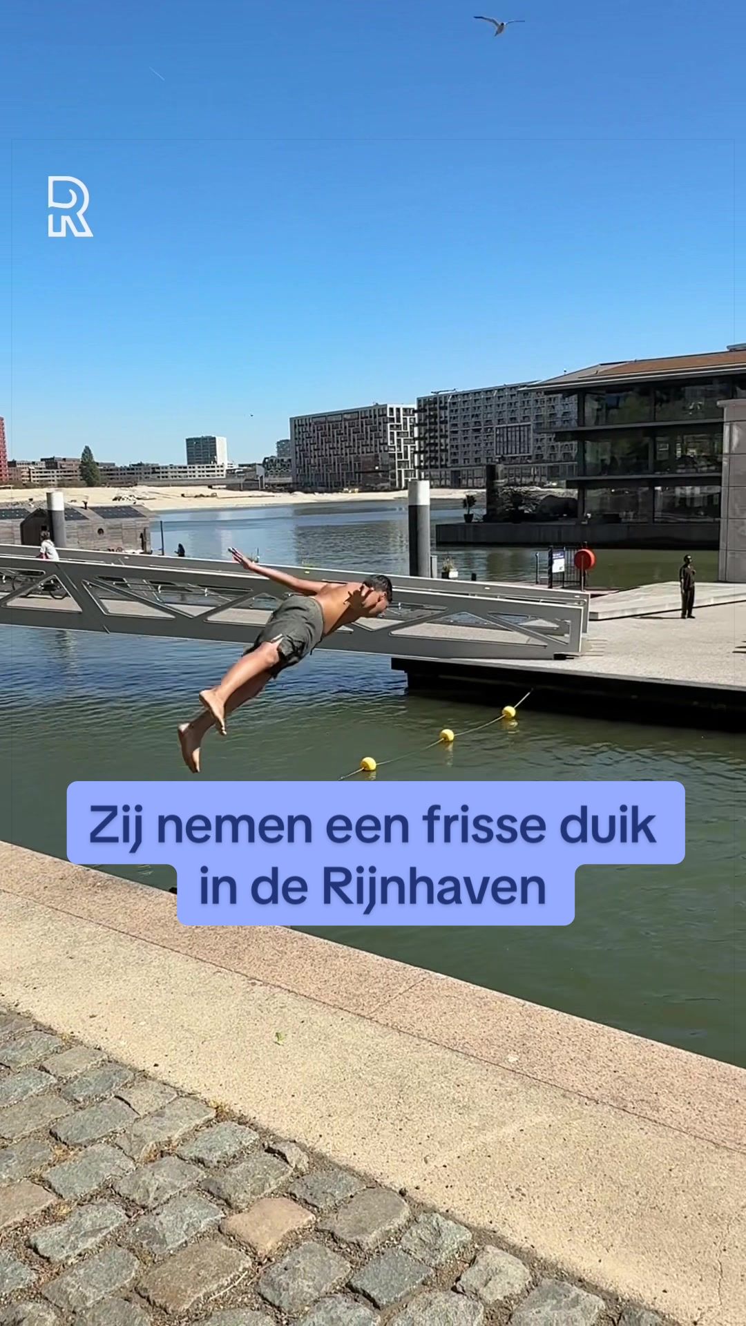 @RIJNMOND