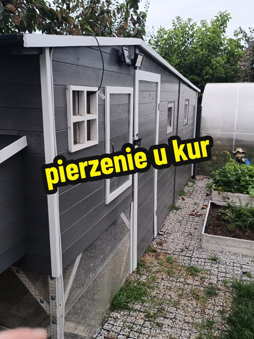 @Marcin ogrodnik