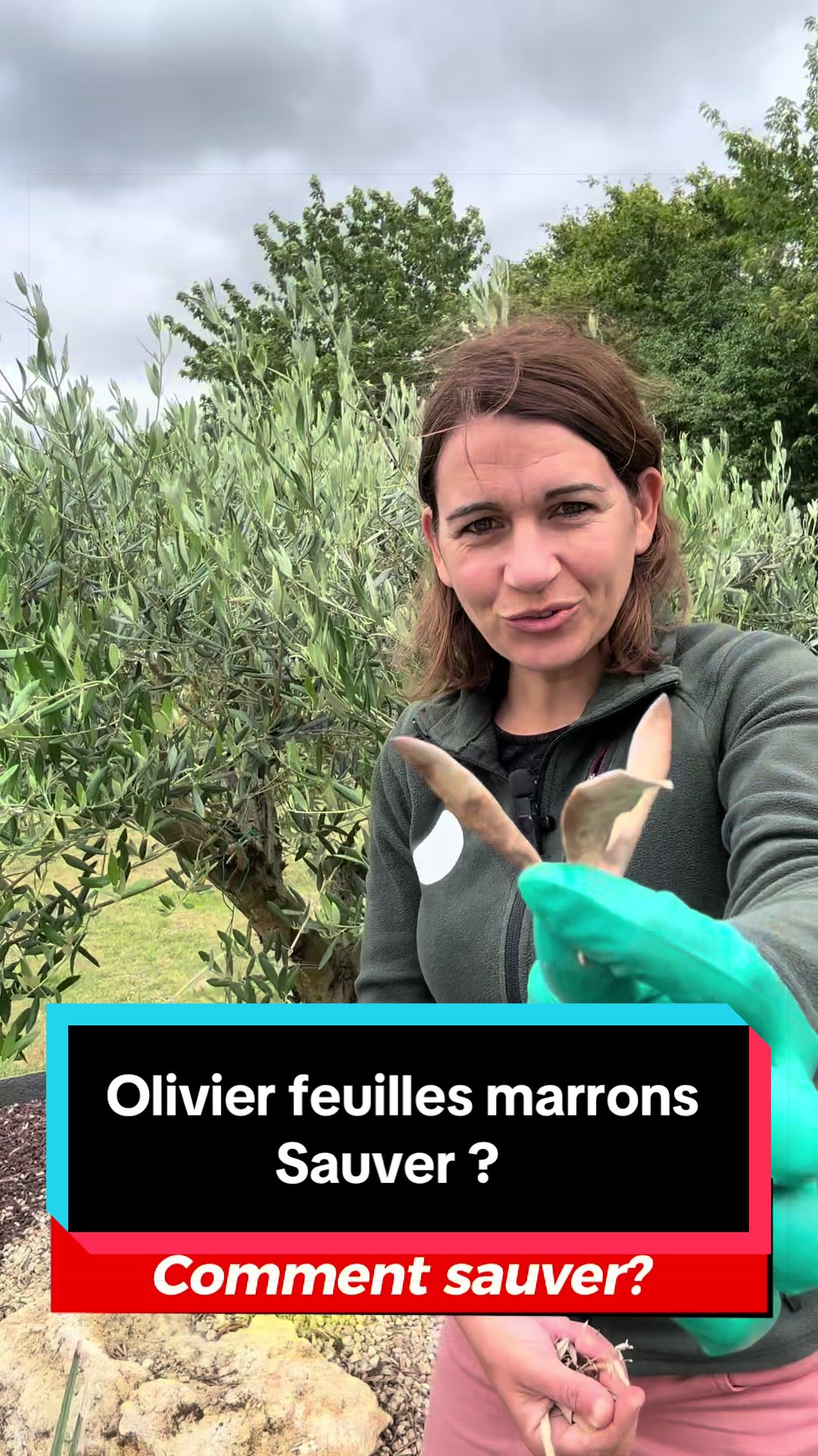 @La main verte de Marion