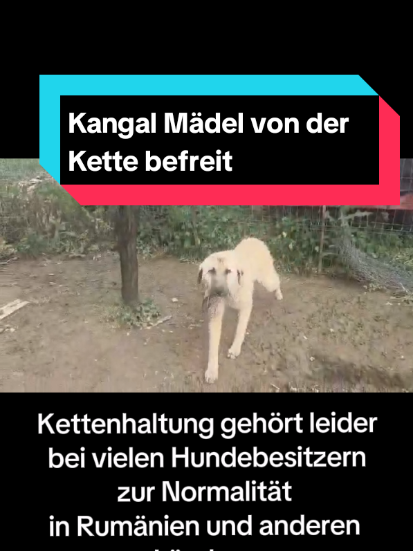 @Sevi
