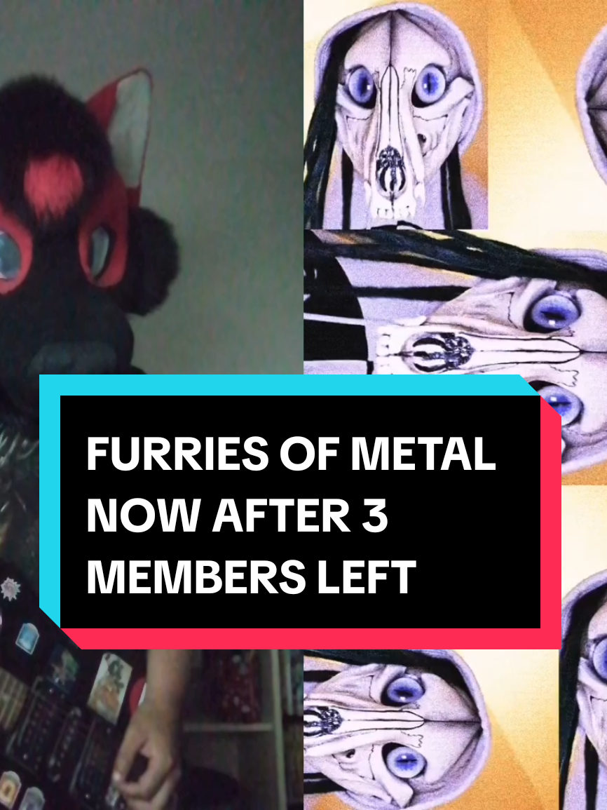 @Hikaji The Husky