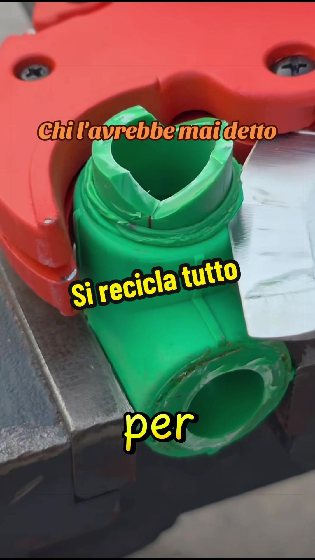 @Alessandro Cuomo ♌️